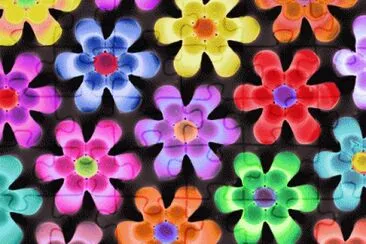 Flores