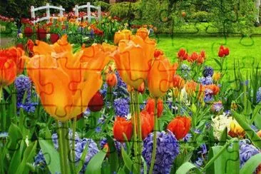 BELLO JARDÃN jigsaw puzzle