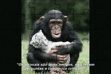 - macaco jigsaw puzzle
