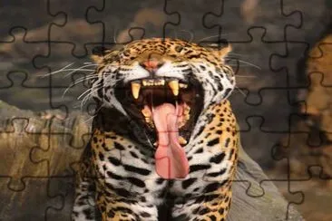 . jigsaw puzzle