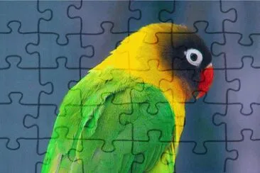 . jigsaw puzzle