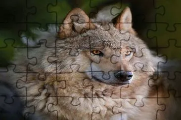 . jigsaw puzzle