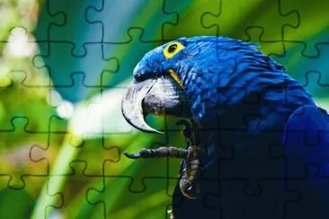 . jigsaw puzzle