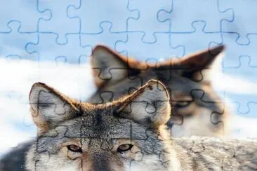 . jigsaw puzzle