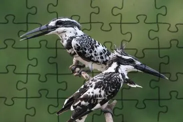 . jigsaw puzzle