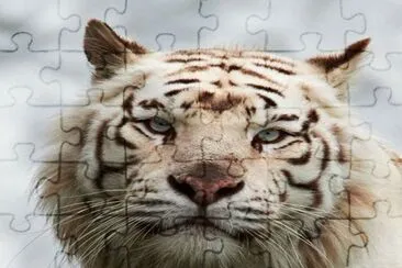. jigsaw puzzle