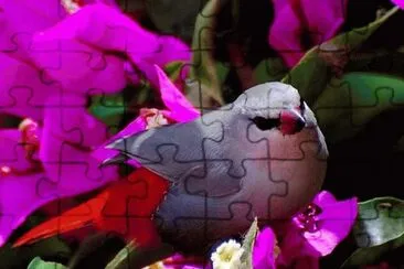 . jigsaw puzzle