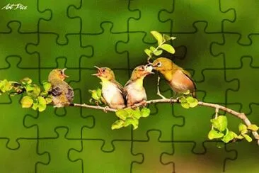 - linda,(29) jigsaw puzzle