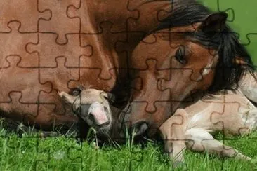 - mÃ£e e filho