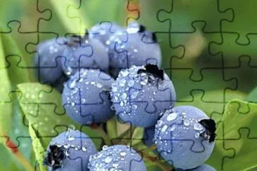 Blueberries jigsaw puzzle