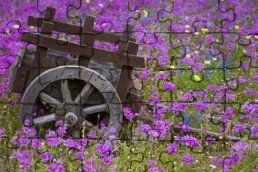 Wooden Cart in the field of Phlox  Texas jigsaw puzzle