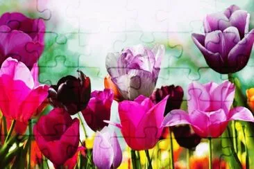 פאזל של Tulips in Spring