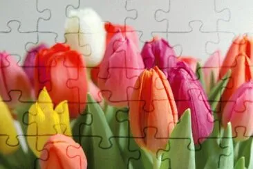 פאזל של Flores 07