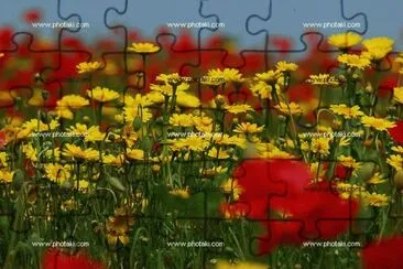 פאזל של flores de primavera