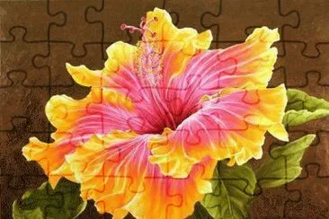 m jigsaw puzzle