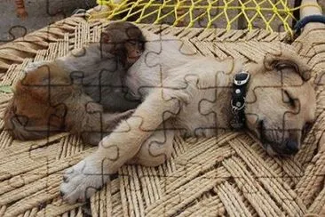 - bons amigos jigsaw puzzle