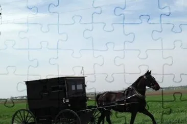 Amish Horse   Buggy