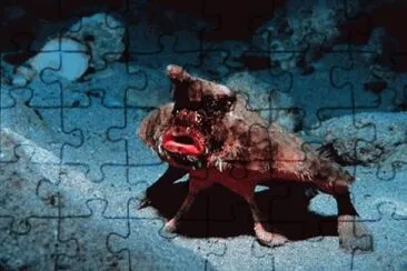 MARSU jigsaw puzzle