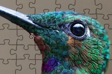 Beautiful Bird jigsaw puzzle