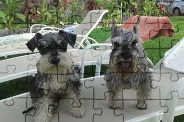 chato y baby 3 jigsaw puzzle