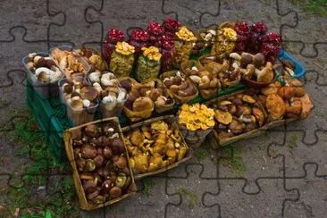 Roadside Mushroom selling  Lithuania