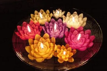 Flor de lÃ³tus