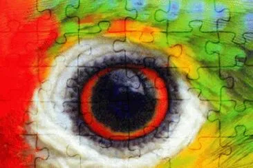 Arara jigsaw puzzle