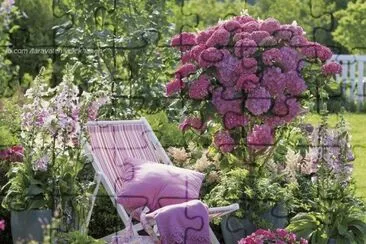 jardim jigsaw puzzle