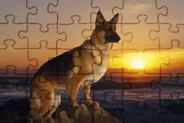 perro guardian jigsaw puzzle