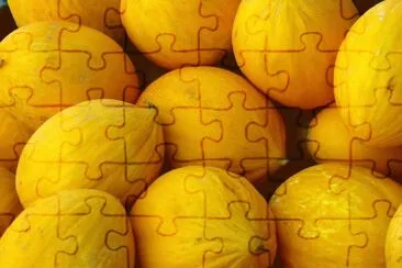 Melons jigsaw puzzle