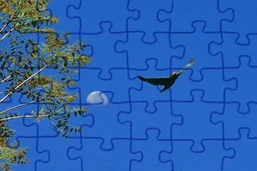 - voo livre jigsaw puzzle