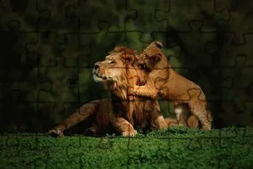 - leÃ£o jigsaw puzzle