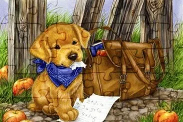 cÃ£ozinho