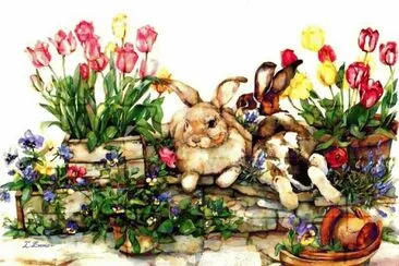 coelho jigsaw puzzle