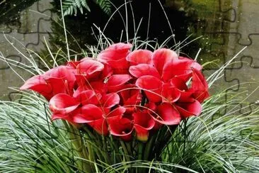 flor