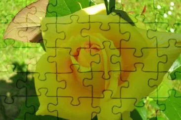  jigsaw puzzle