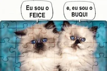 - feice  buqui jigsaw puzzle