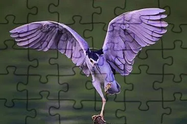 - muito lindo! jigsaw puzzle