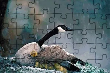 - momento mÃ£e!! jigsaw puzzle