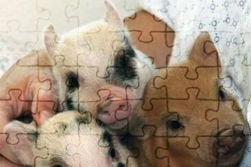 - trÃªs irmÃ£os! jigsaw puzzle