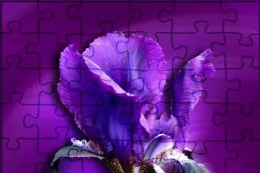 - flor linda,(1) jigsaw puzzle