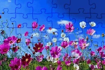 may9 jigsaw puzzle