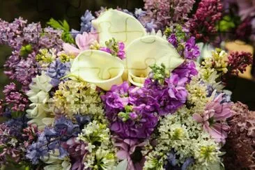 Flors jigsaw puzzle
