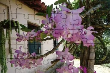 - sem palavras jigsaw puzzle