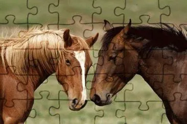 - juntos para sempre jigsaw puzzle