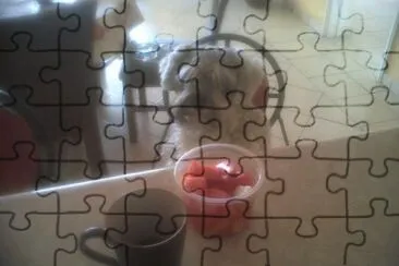  jigsaw puzzle