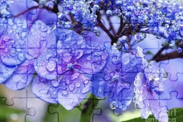 fleurs jigsaw puzzle