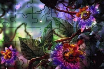 Flower fantasy