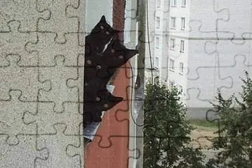- vendo a banda passar jigsaw puzzle