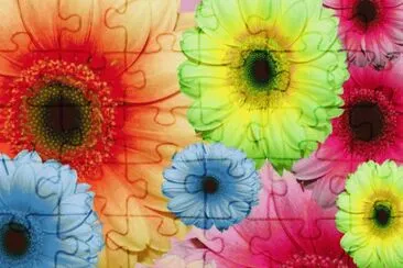 Flores